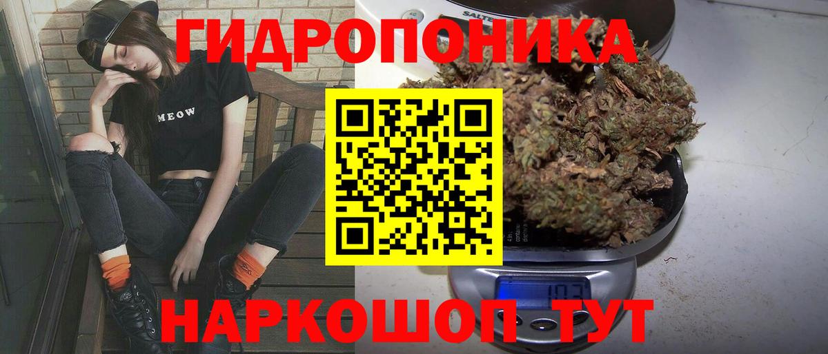 Канабис семена Зеленокумск